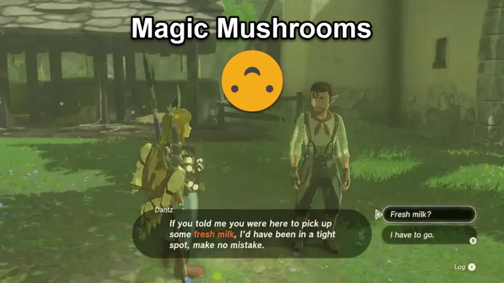 Tears of the Kingdom: Who to Give Hylian Shrooms To In Hateno Village | Magic Mushrooms :-)
