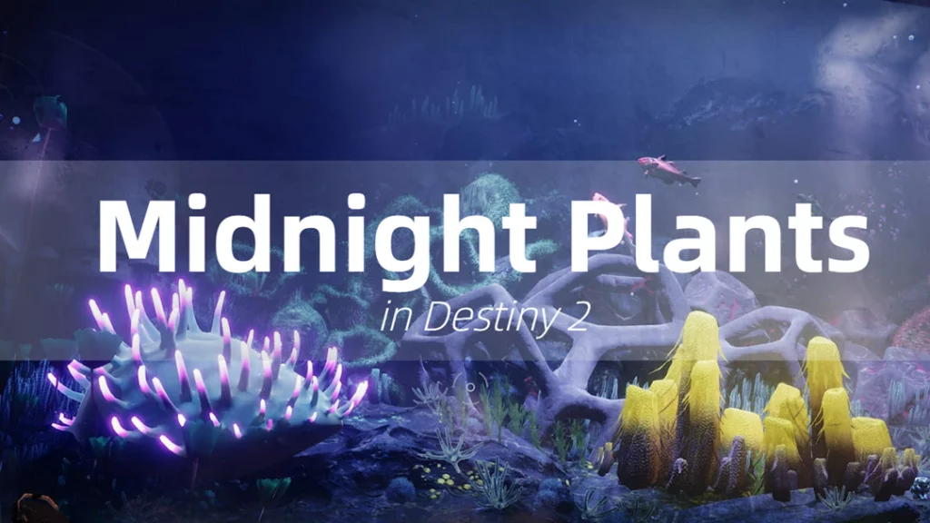 All Midnight Depths Flora and Plants Locations in Destiny 2 ( The Best ;-))