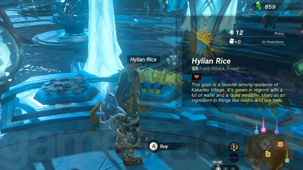 Secrets for Locating Hylian Rice in Tears of the Kingdom (TOTK)