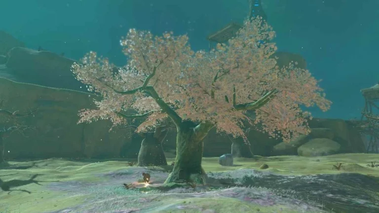 All Cherry Blossom Tree Locations in Tears of the Kingdom (TotK)