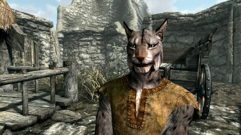 Elder Scrolls V: Skyrim – How to Choose the Best Race for Your Playstyle