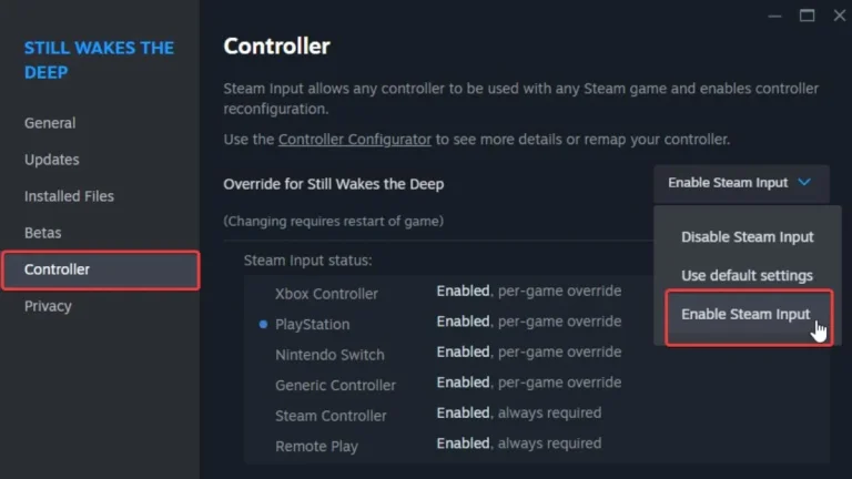 How to Fix the Still Wakes the Deep Controller Issues on PC